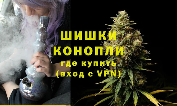 СК Арсеньев