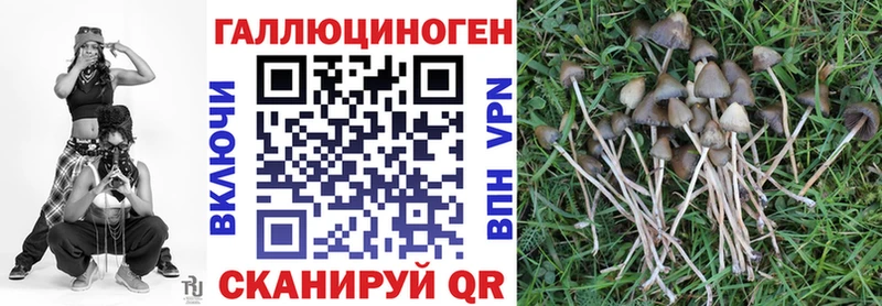 Галлюциногенные грибы мухоморы  Новоаннинский 